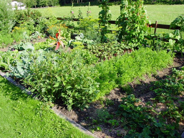Agrowłóknina ogrodowa – rodzaje i zastosowanie włókniny ogrodowej